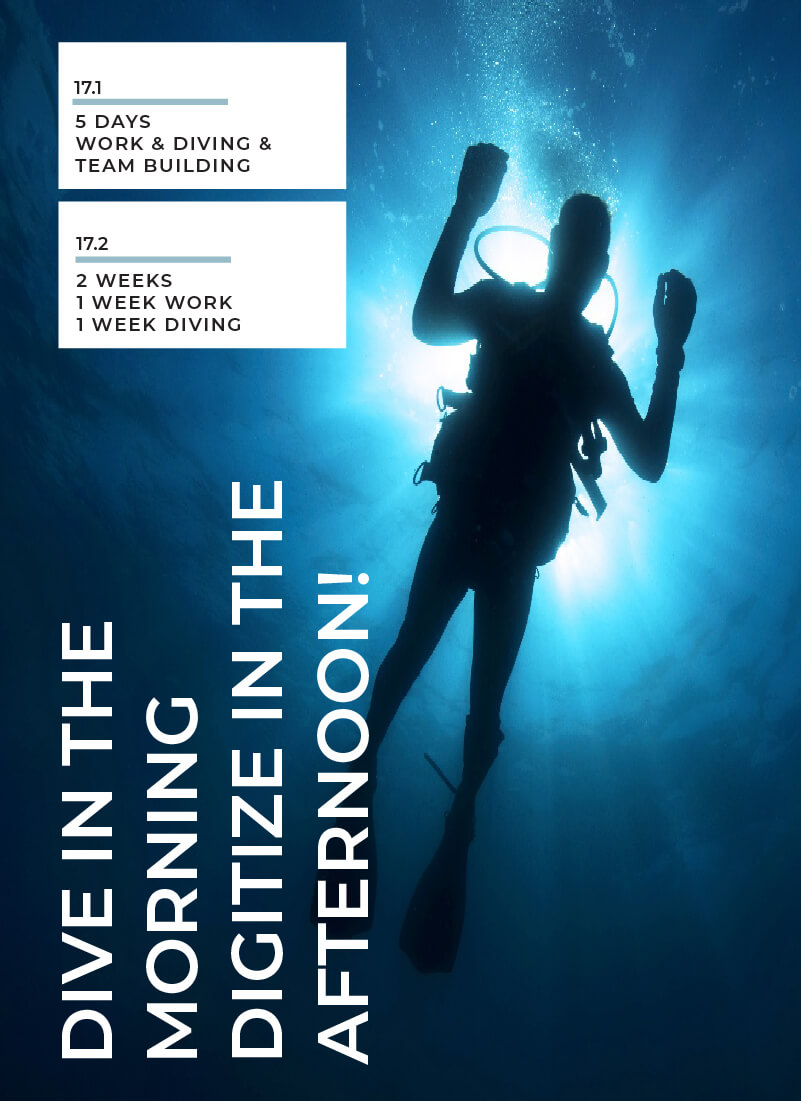 Digitalisierung & Diving & Teambuilding